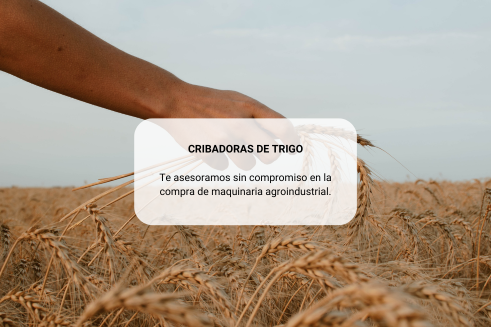 comprar-cribadoras-trigo